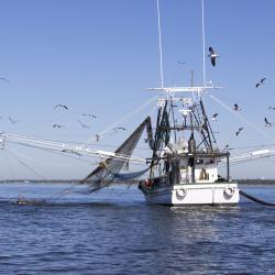 Gulf Coast Shrimping Boat in Biloxi Gulf Coast Shrimping Boat in Biloxi