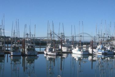 dam-migration-miss/md_kCS5k5dbWNm0.jpg Wide shot of several ships docked.