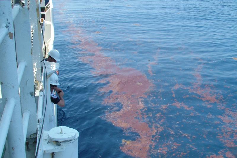 People in hard hats peer over the side of a large white ship at blue water stained with reddish brown oil 