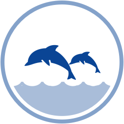Silhouette of two dolphins jumping out of the water